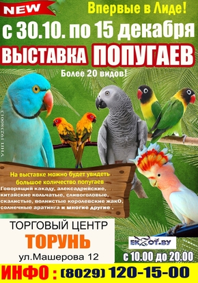 Выставка экзотических попугаев