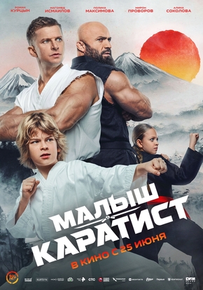 Малыш-каратист, 12+ (2D)