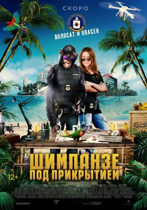 Шимпанзе под прикрытием, 12+ (DVD)