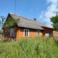 Деревянный дом в деревне Копачели, фото 4