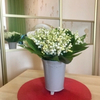 Комфортные    квартиры , на сутки и более для Организаций   .Квартиры в разных районах., фото 5