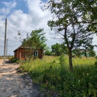 Деревянный дом в деревне Копачели, фото 5