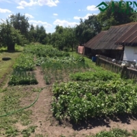 Жилой дом в городском посёлке Желудок, фота 5