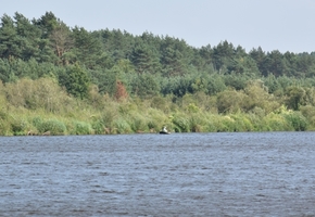 Как изменился уровень воды в Немане после ливней, и что ждет реку в ближайшем будущем?