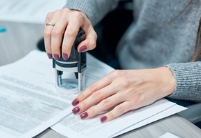 В Гродненской области насчитали 21000 индивидуальных предпринимателей. Большинство торгуют и ремонтируют автомобили