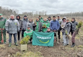 Сотрудники компании «Лидкон» высадили на территории Бердовского лесничества Лидского района около  5000 саженцев