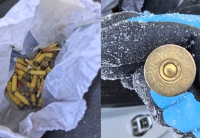 Во ввезённом из Литвы автомобиле таможенники обнаружили спрятанные боевые патроны