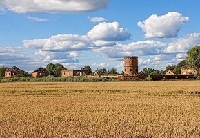 Под Новогрудком через аукцион снова продаётся «Мурованка Хрептовичей». Начальная цена — 90 рублей