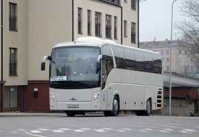 Польша открыла два пункта пропуска. Перевозчики формируют рейсы