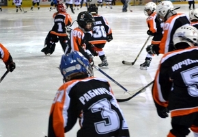 Юные хоккеисты из Лиды и Вильнюса устроили на лидском льду массовую драку (видео)