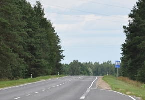 Ограничения на посещение лесов введены почти во всех районах