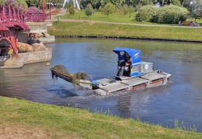 Реку Лидейку и Замковое озеро очищают от водорослей