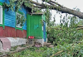 В Гродненской области в непогоду пострадало 54 населённых пункта