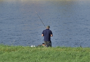 В самое большое озеро Гродненской области выпустят щуку и белого амура. Осенью зарыбят водоём в Лиде или Вороново