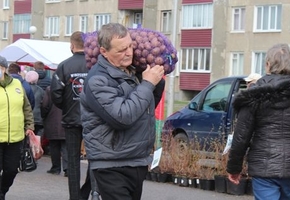 В Лиде каждые выходные до 27 октября проводятся осенние сельскохозяйственные ярмарки