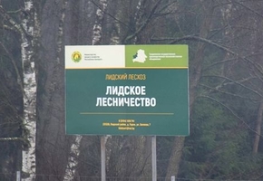 Охотовед рассказала о том, какие хищные звери водятся в Лидском районе и на его границах