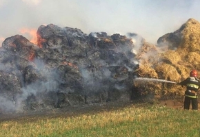 Лидские спасатели и работники хозяйства ликвидировали пожар