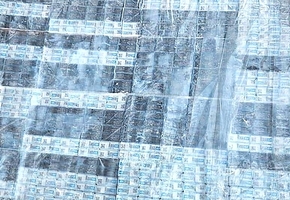 Литовские пограничники выловили в Немане сигаретную контрабанду из 640 пачек