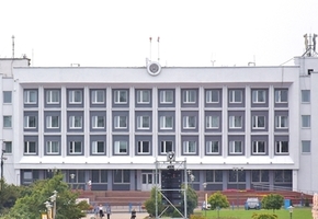 В райисполкоме будут искать системное решение проблемы появления лис в городе