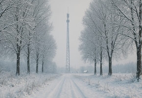 Связь для абонентов А1 стала лучше в Гродненской области: завершен новый этап расширения 4G-сети*
