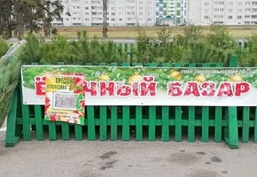 12 ёлочных базаров начнут работу в Лидском районе