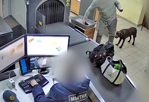 Собака учуяла, а судэксперты из Лиды подтвердили: белорус пытался провезти из Литвы психотроп