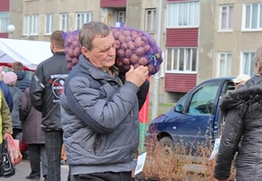 Список всех весенних ярмарок в Гродненской области. В Лиде первая ярмарка состоится 15 апреля