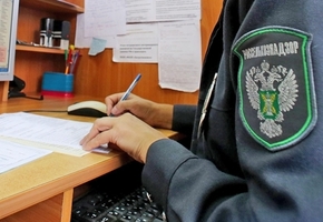 Россельхознадзор выявил в лидской сухой молочке бактерии группы кишечной палочки. Всего претензии к 17-и предприятиям