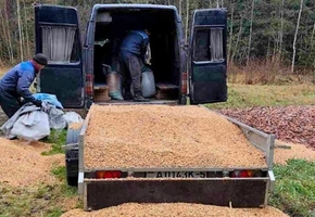 Охотничьи хозяйства Лиды и Новогрудка ведут подкормку копытных и других обитателей леса