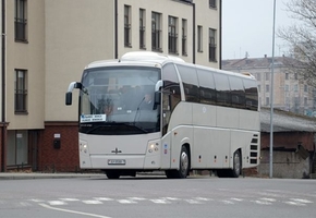 Польша открывает границу. Перевозчики формируют прежние рейсы