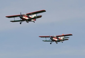 С 16 сентября в Лиде и регионе самолёты МЧС будут разбрасывать приманки с вакциной для диких животных