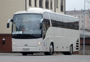 Перевозчики рассказали о ситуации с закрытием польской границы