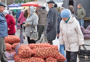 Графік восеньскіх сельскагаспадарчых кірмашоў у Лідзе, Воранава, Радуні і Іўі