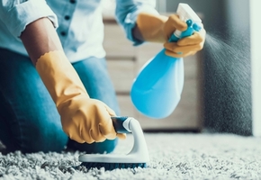 Клининговая революция от «3 Енота»: чистота без компромиссов*