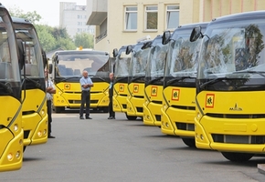 Для школ Гродненской области закупят 56 новых школьных автобусов