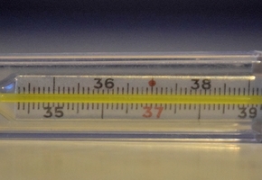 В Беларуси официально объявлено о первой смерти человека, у которого был коронавирус