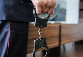 В Лидском районе с предприятия похитили 1800 единиц товара. В схеме участвовали 7 человек, включая должностные лица