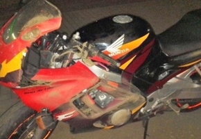 В Лидском районе мотоциклист наехал на косулю