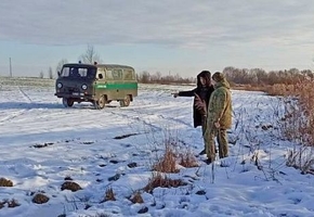 Лидские пограничники задержали гражданина Узбекистана, незаконно пересекавшего границу