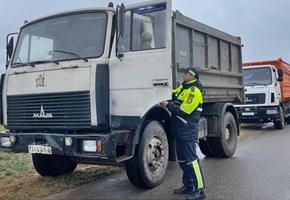 Милиция проводит проверку в АПК Гродненской области