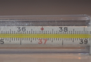 В Лидской ЦРБ на лечении находятся более 400 пациентов с пневмониями