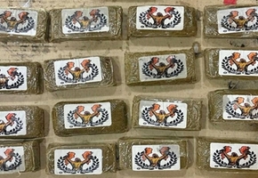 Гродненской региональной таможней пресечена попытка ввоза крупной партии гашиша польским перевозчиком