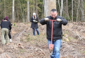 Лидский лесхоз присоединился к мероприятию «Лес! Дабро! Парадак!» в Вороновском районе