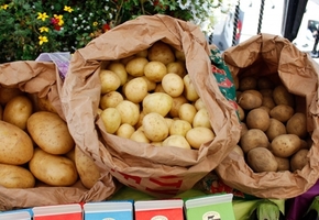 В Лиде пройдут осенние с/х ярмарки