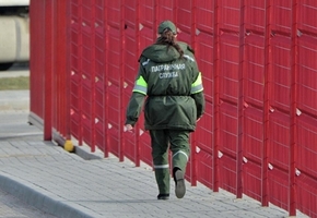 В пункте пропуска в Гродненской области задержан молдаванин, который пытался ввести в Литву 530 кг контрабандного табака