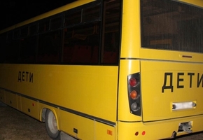 В Дятлово пьяный местный житель избил школьный автобус