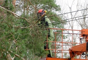 Сотрудники и техника РУП «Лидские электрические сети» участвуют в наладке электроснабжения после «непогоды» в регионе