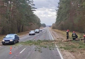 В МЧС рассказали о последствиях сильного ветра в регионе