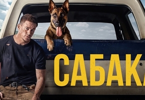 Кіно па-беларуску: анлайн-кінатэатр VOKA ад А1 выпусціў пяць знакамітых стужак у новай агучцы*