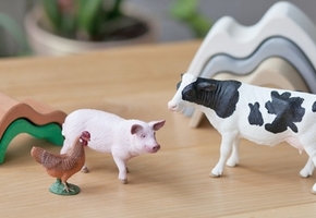 КГК выявил нарушения в с/х организациях Вороновского и Щучинского районов, в том числе с гибелью телят